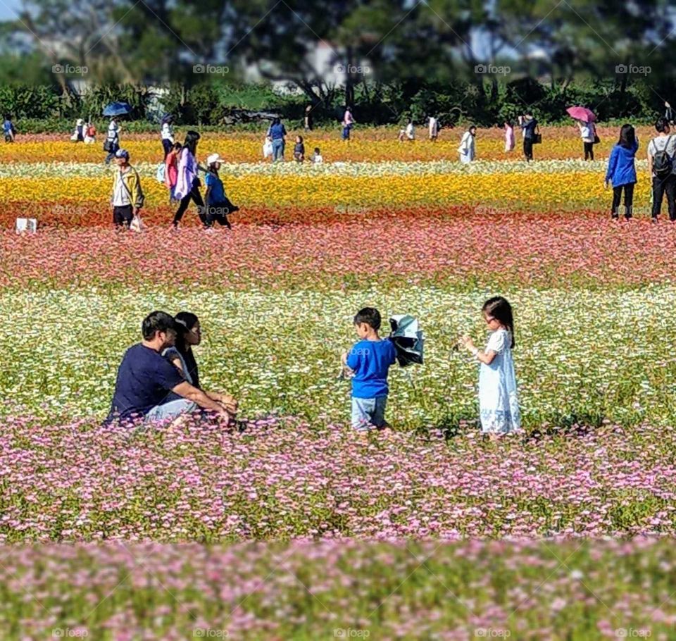My favorite moment: very happy to see many people playing and flowers viewing in the beautiful flower fields.