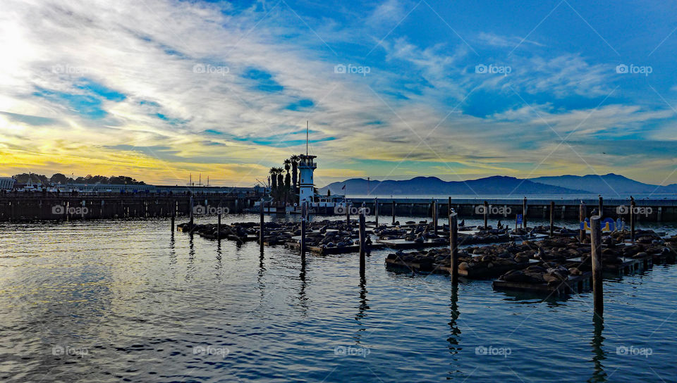 View of harbour during sunset