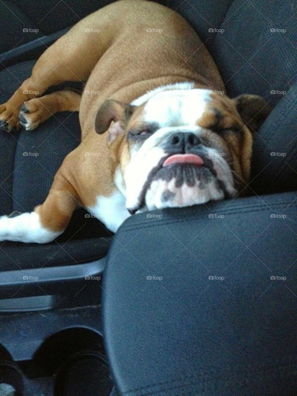 driving makes me sooooo tired!