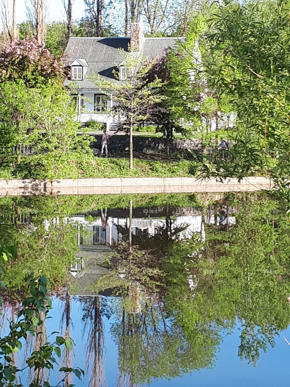 house reflections!🌎🏞