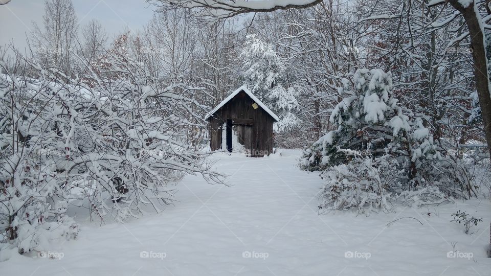 Snowy old Barn