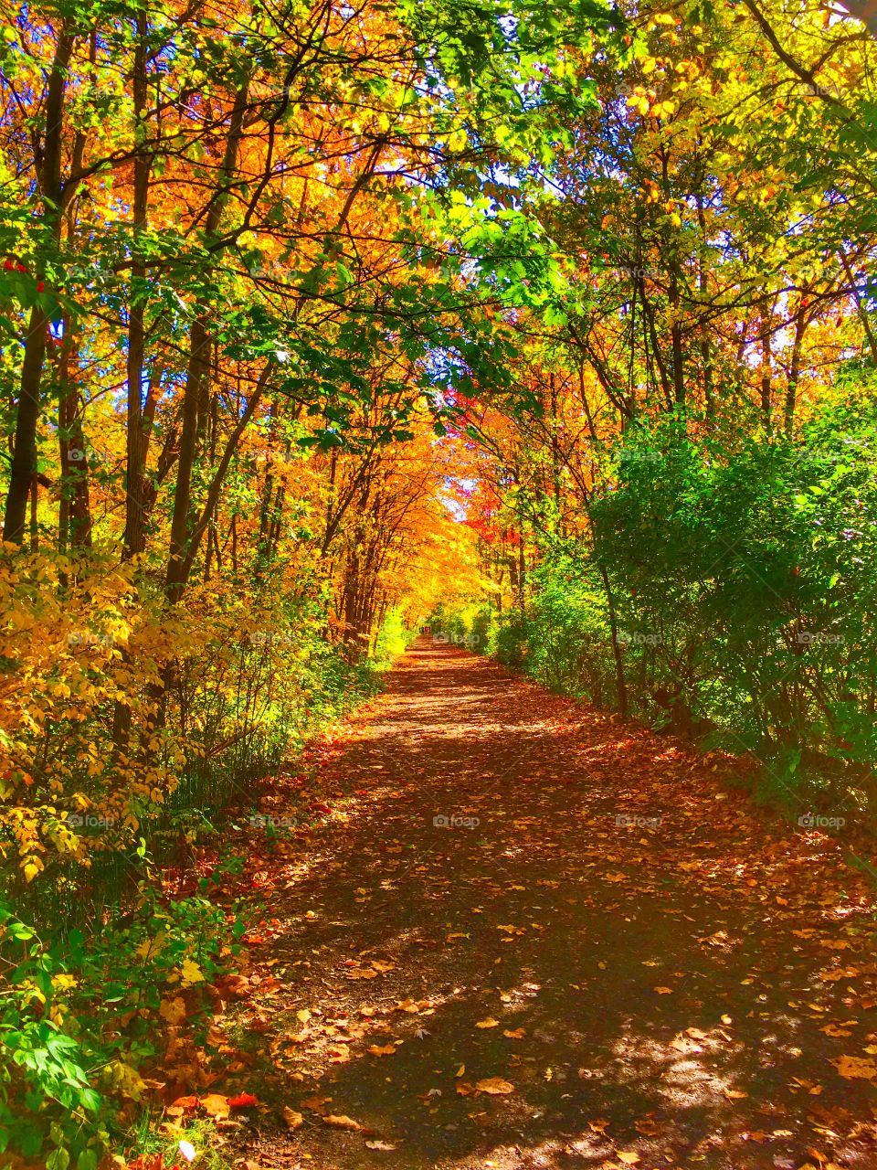 Clinton River Trail. Michigan autumn is unbelievable!! 