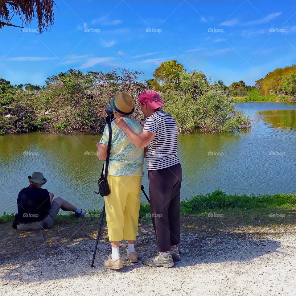 Beautiful blue sky day perfect for birders.