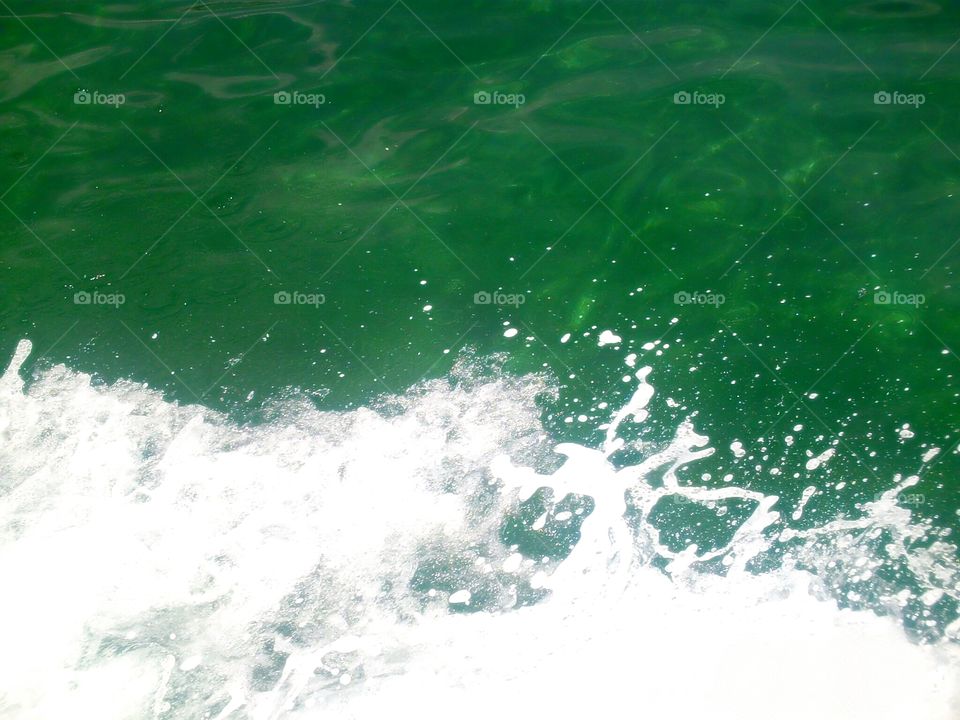 Boat ride in the Bahamas. Water so Crystal Blue.