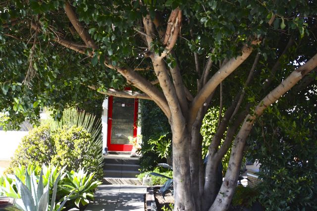 Red door. Front door to my home 