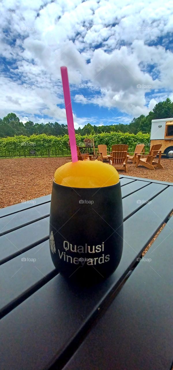 Beautiful Day at the Vinyard