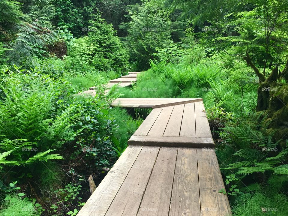 Crossing the marsh