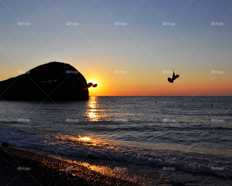 sunrise silhouettes