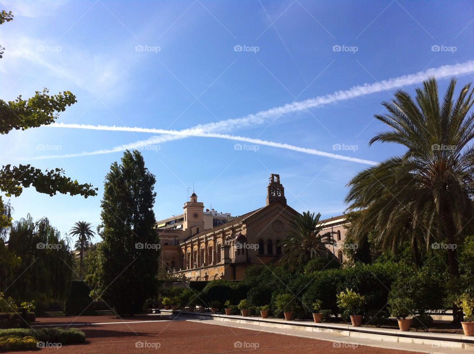 sky sun trees park by andyamc