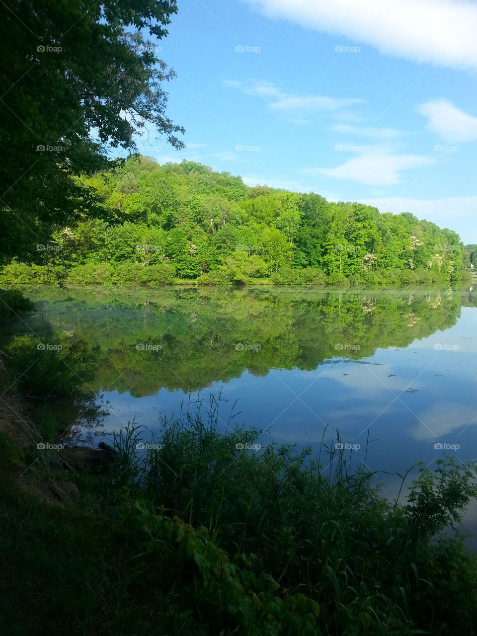 green lakr. Glenwood lake Wv 