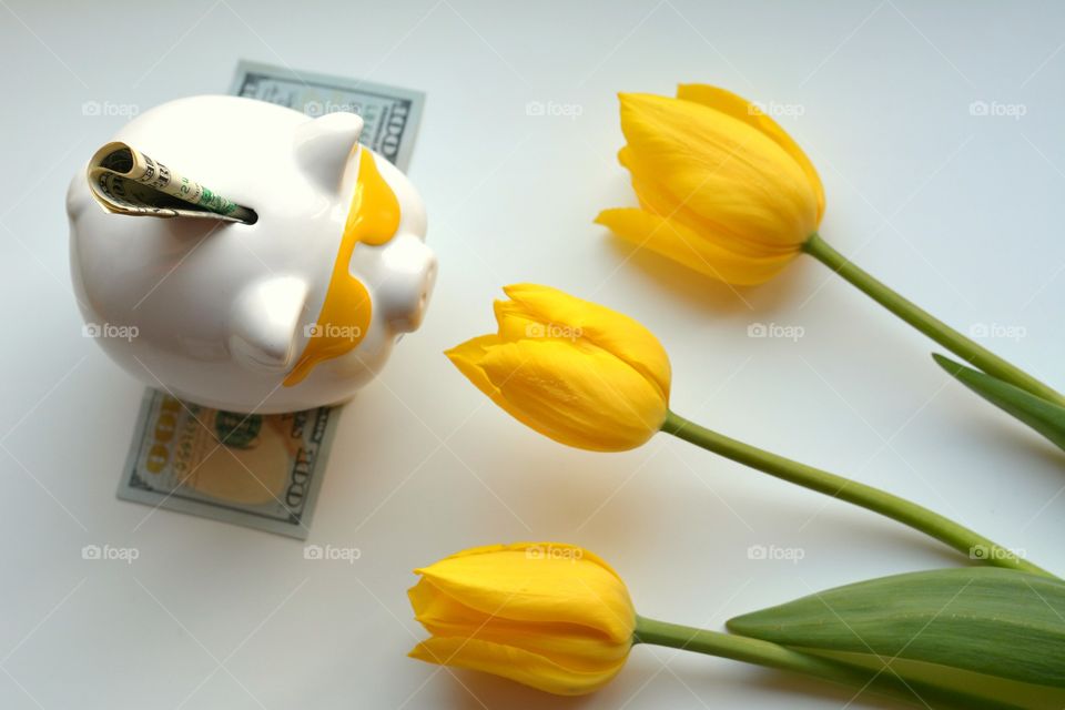 No Person, Nature, Flower, Leaf, Still Life