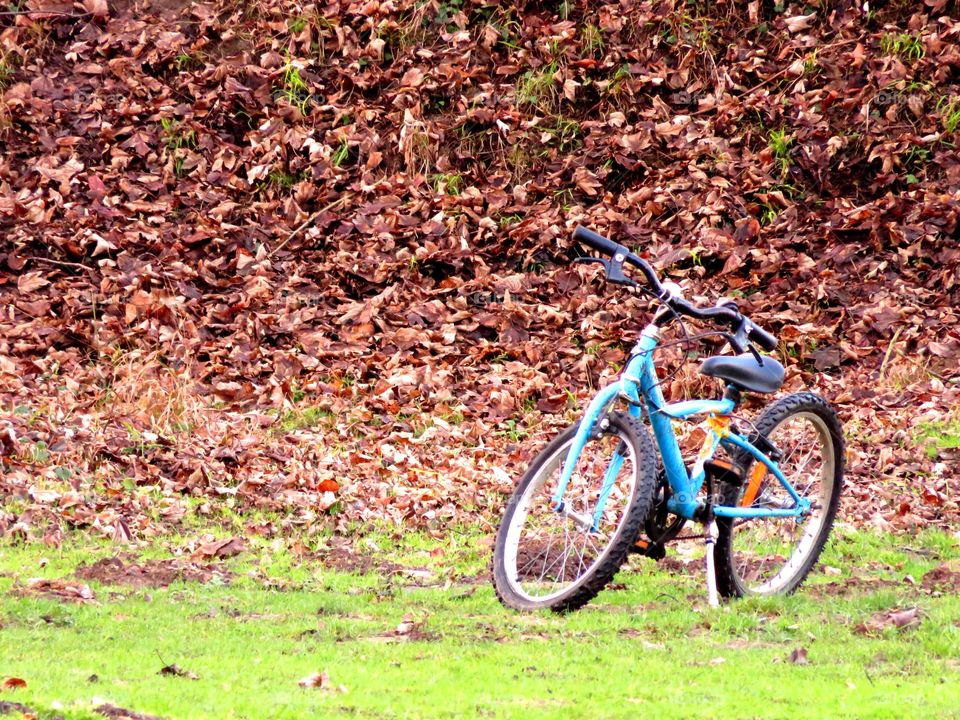 bike in the park