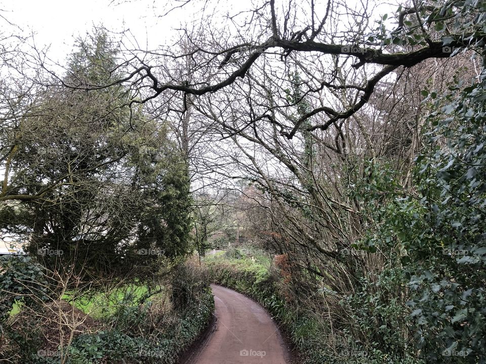 I love the overhanging branches, shame about the gloomy winters day, not bad though for January 2019