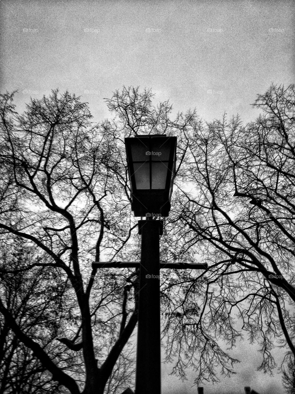 "The most colorful thing in the world is black and white, it contains all colors and at the same time excludes all."
~ Vikrmn, 10 Alone