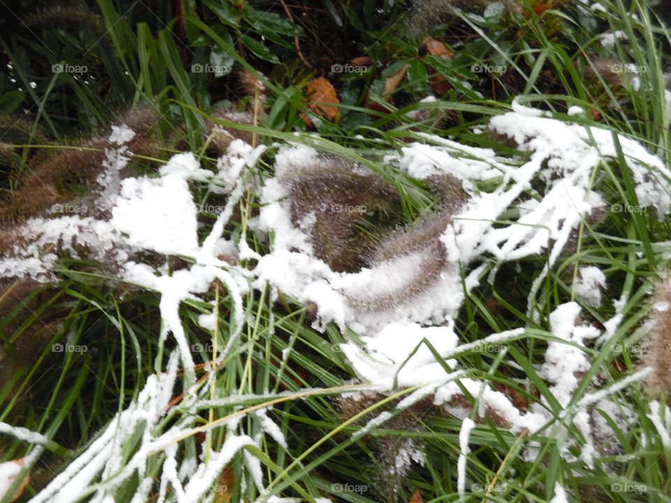 Parc de Mariemont , la Louvière