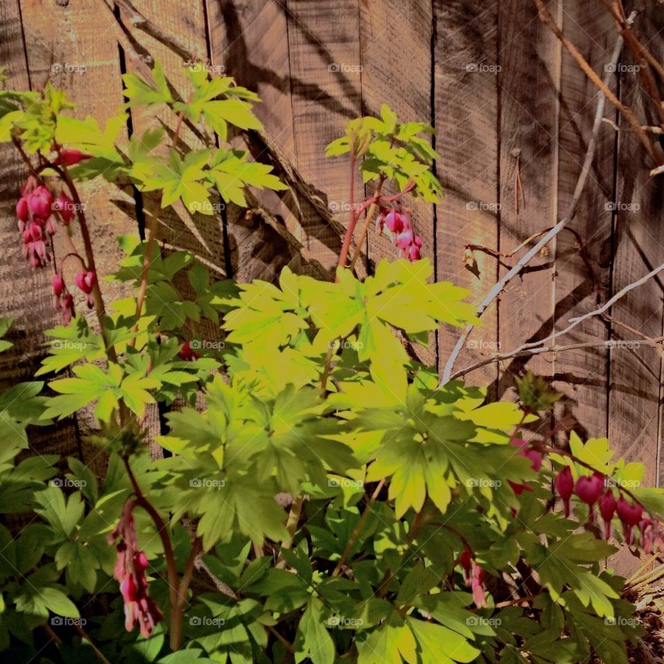 Chaotic patterns working together