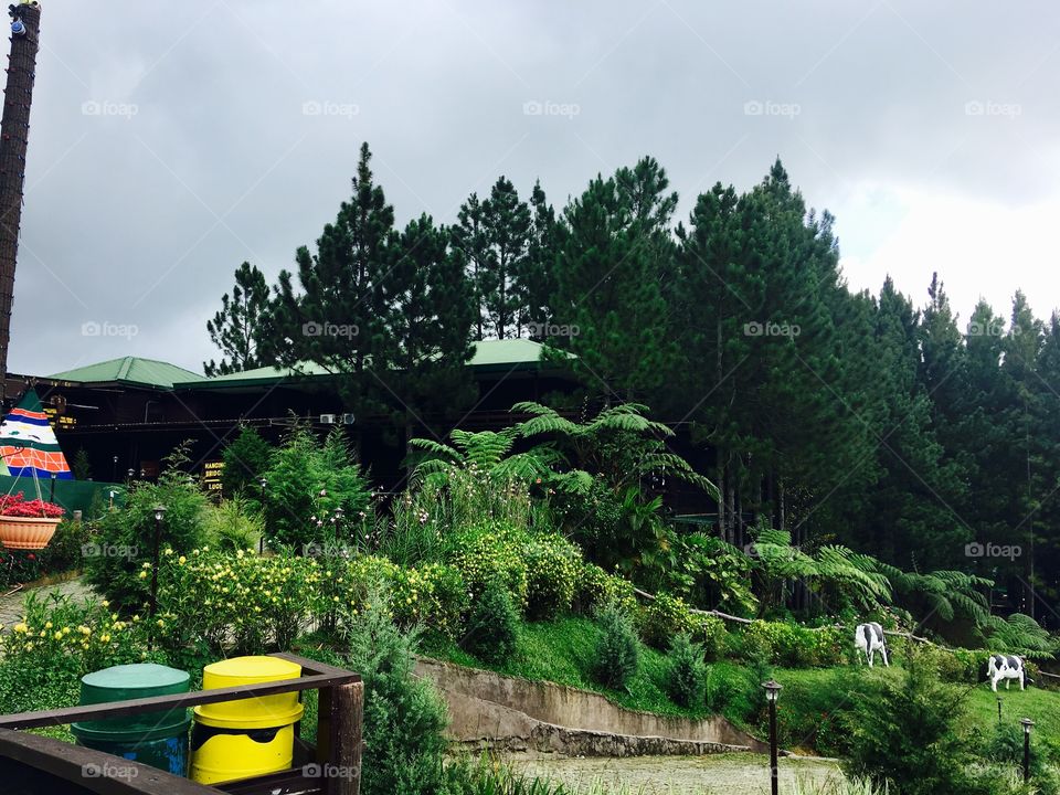 Park over the mountains of Bukidnon.