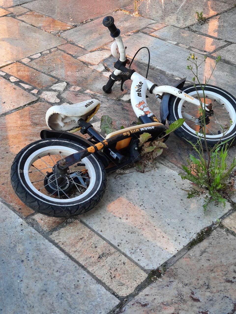 bike left by a kid on the terrace