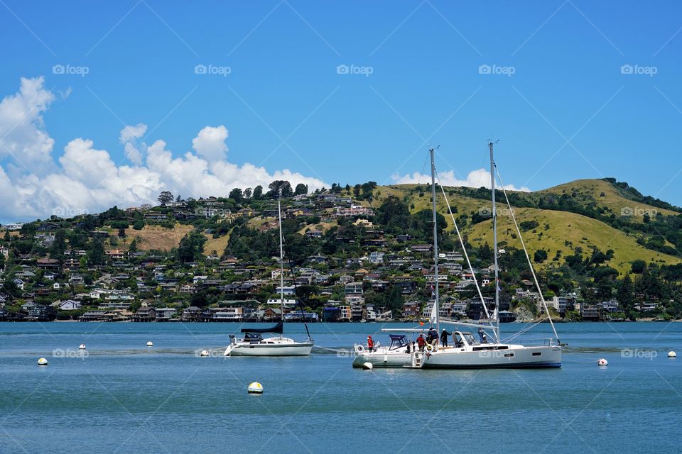 Boating Near Sausalito In San Francisco Bay