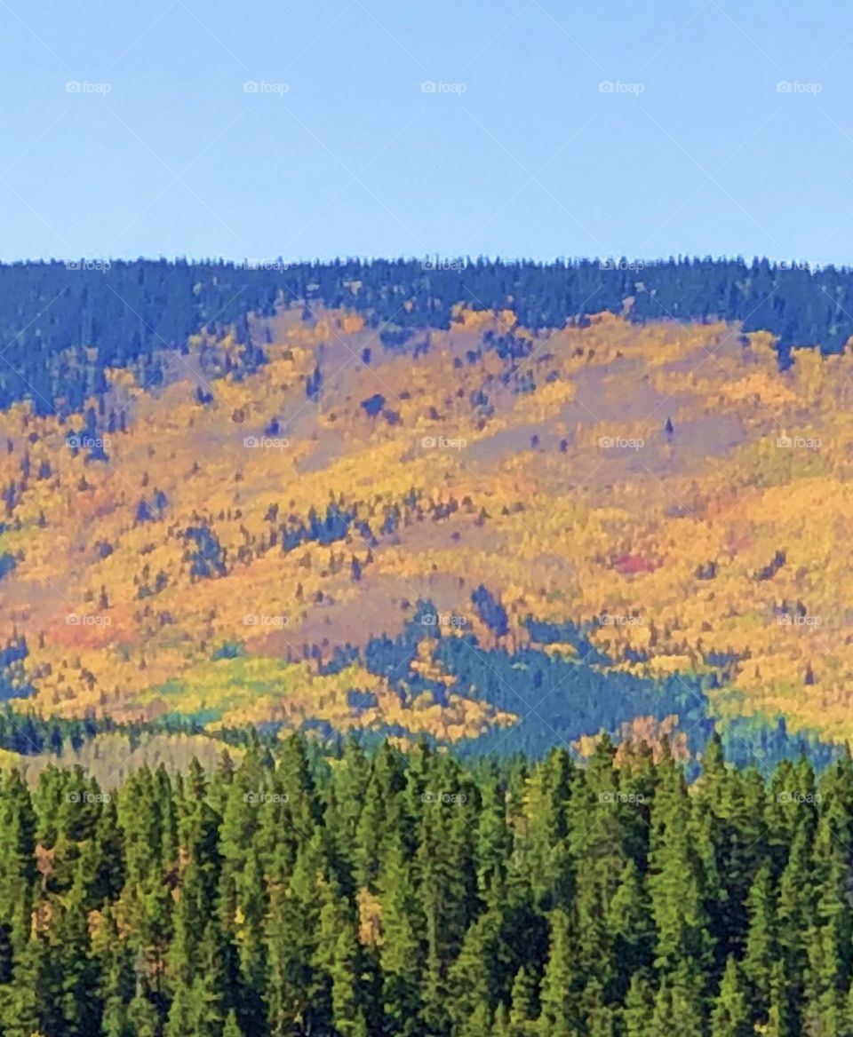 Colorado Fall