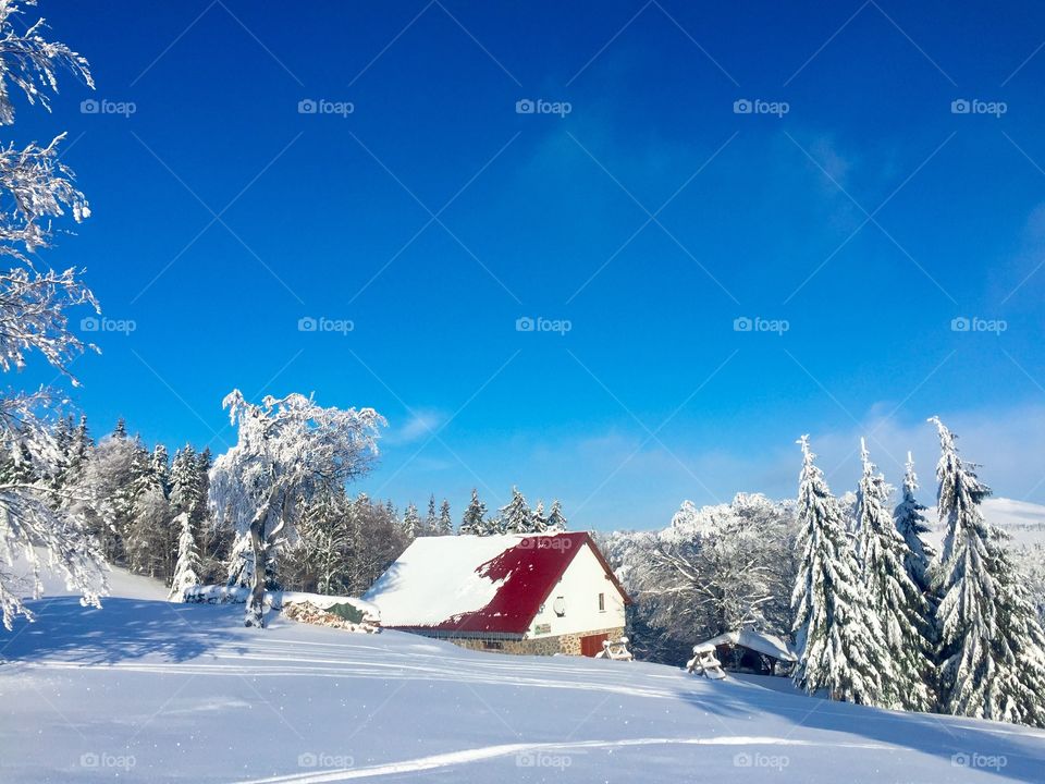 Remote house in the mountains surrounded by trees covered in snow on a bright sunny day