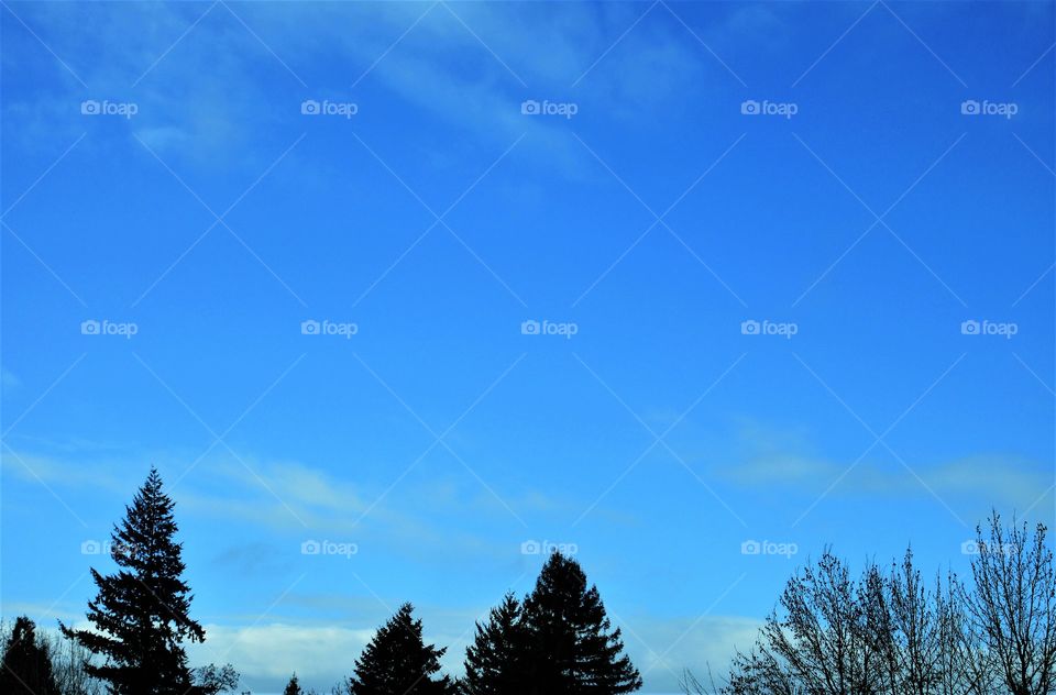 blue sky with trace of clouds