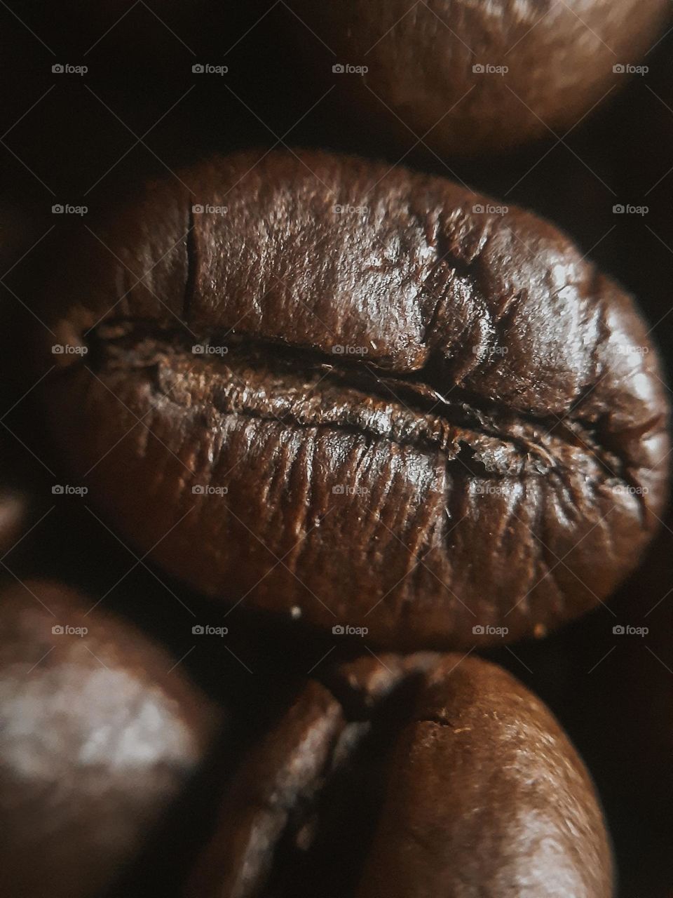 Coffee beans under a macro camera