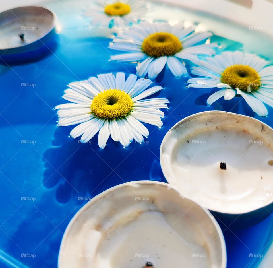 Daisy flowers and candles floating on blue water