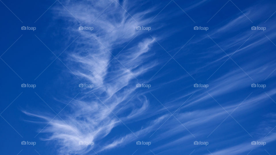 Wispy Clouds 