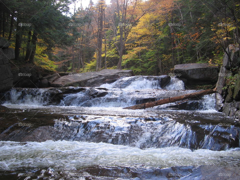 Tenet Creek falls NY