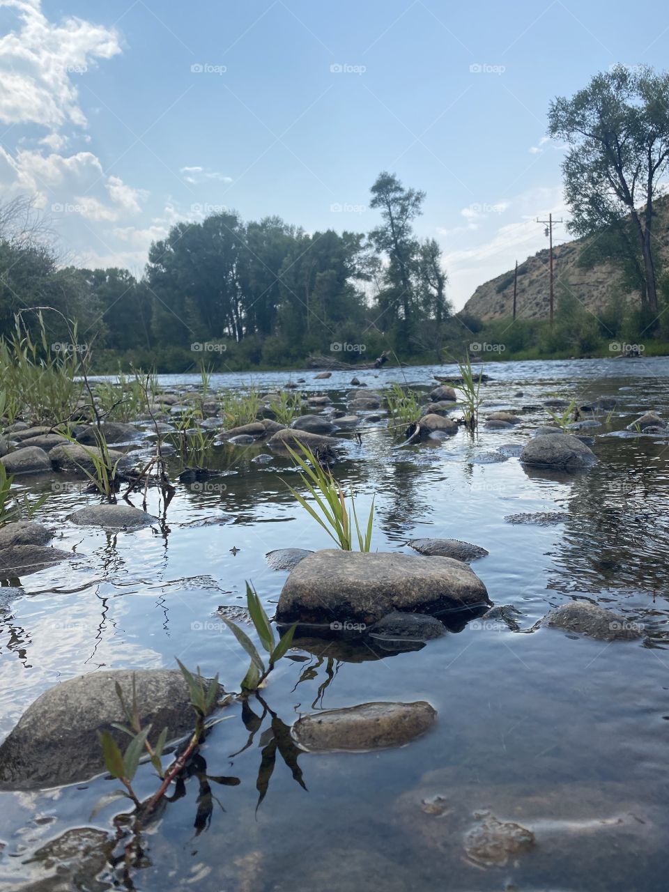 A beautiful view of the Colorado river!