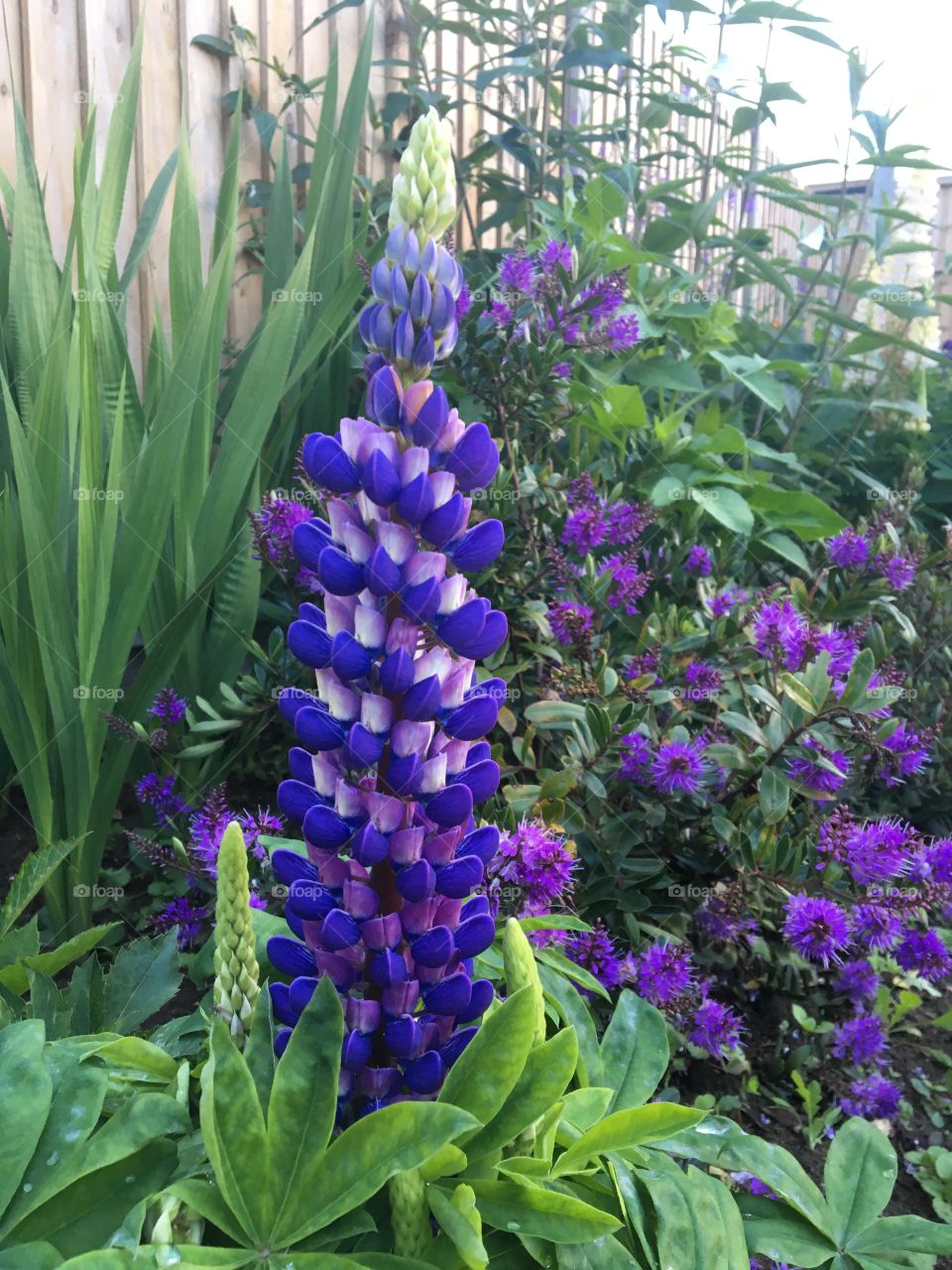 The beauty of nature