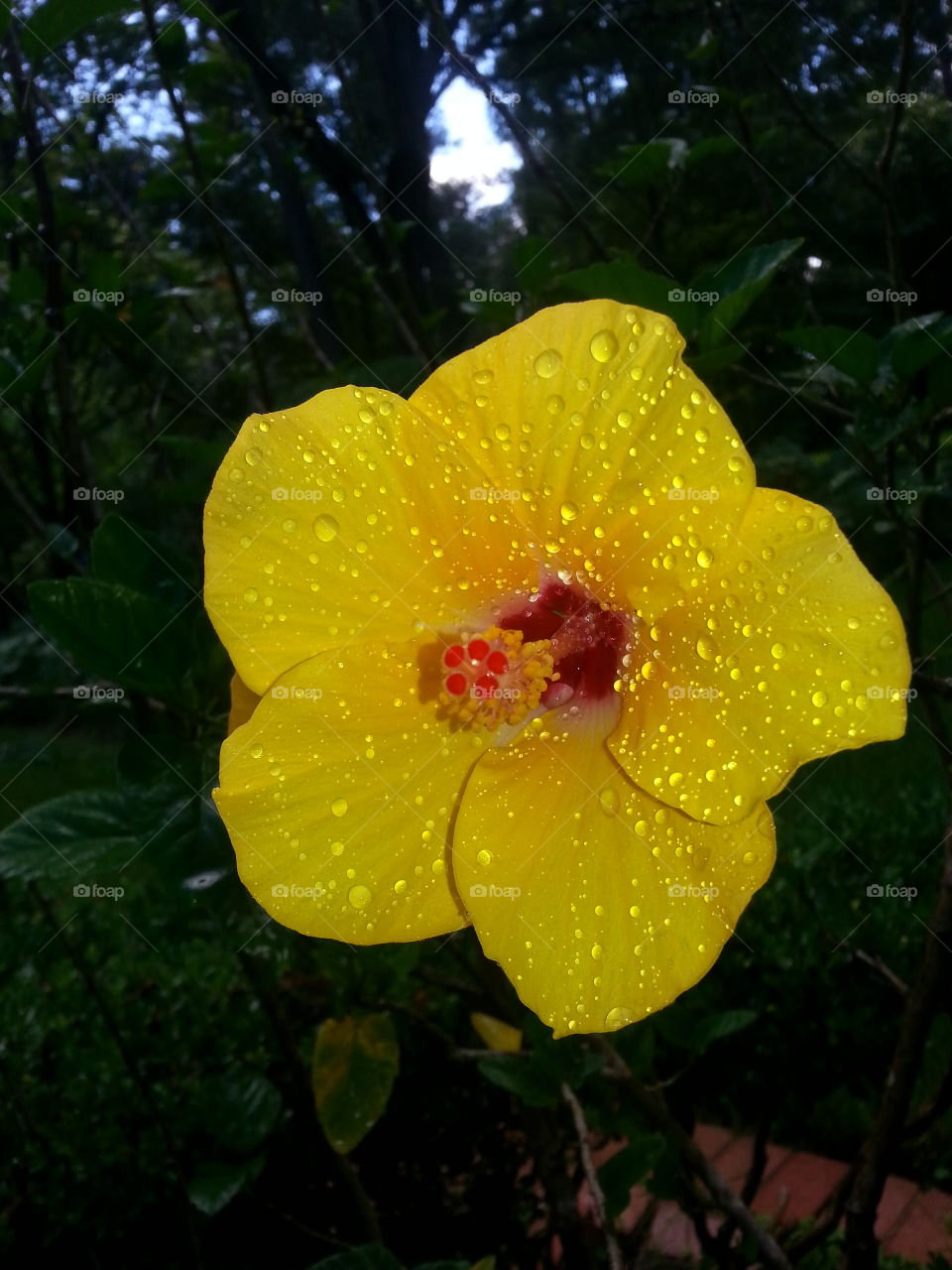 Sunshine on a cloudy day