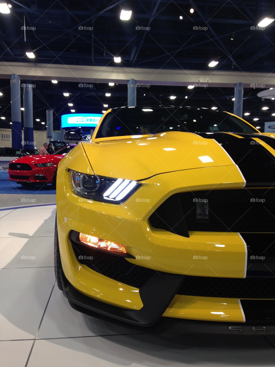 2016 Ford Mustang Shelby gt-350 at miami auto show