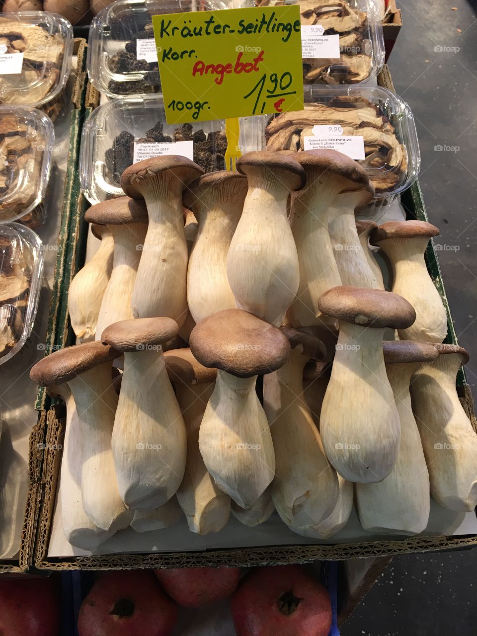 Mushroom fresh 