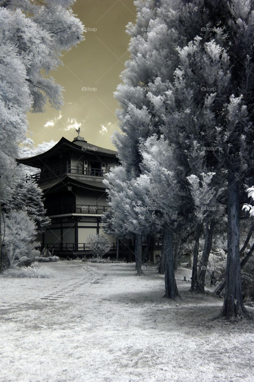 Dark in between White