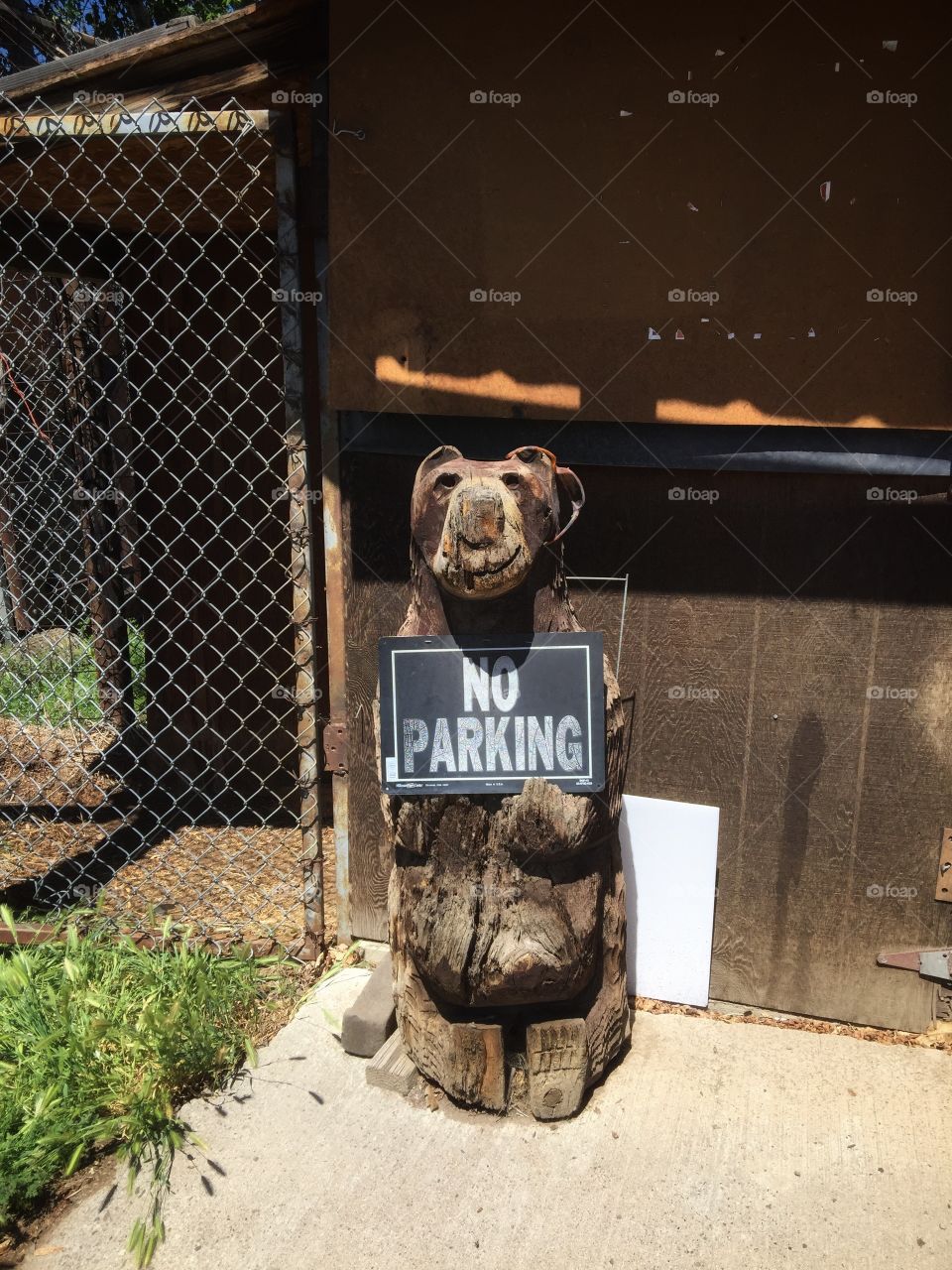 No Parking Bear