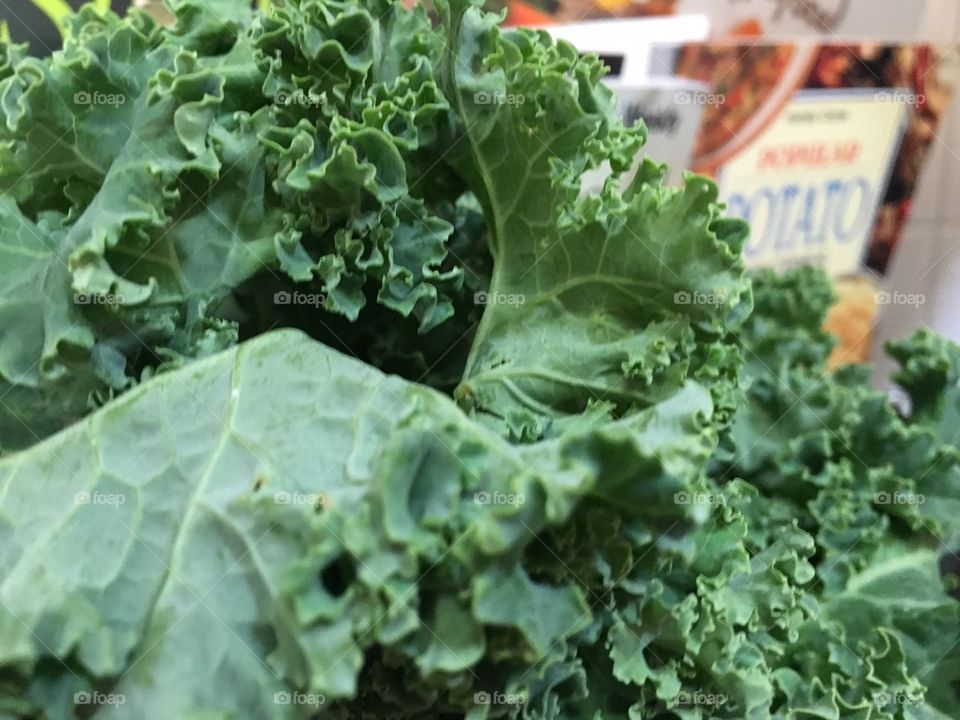 Fresh curly kale in kitchen foreground