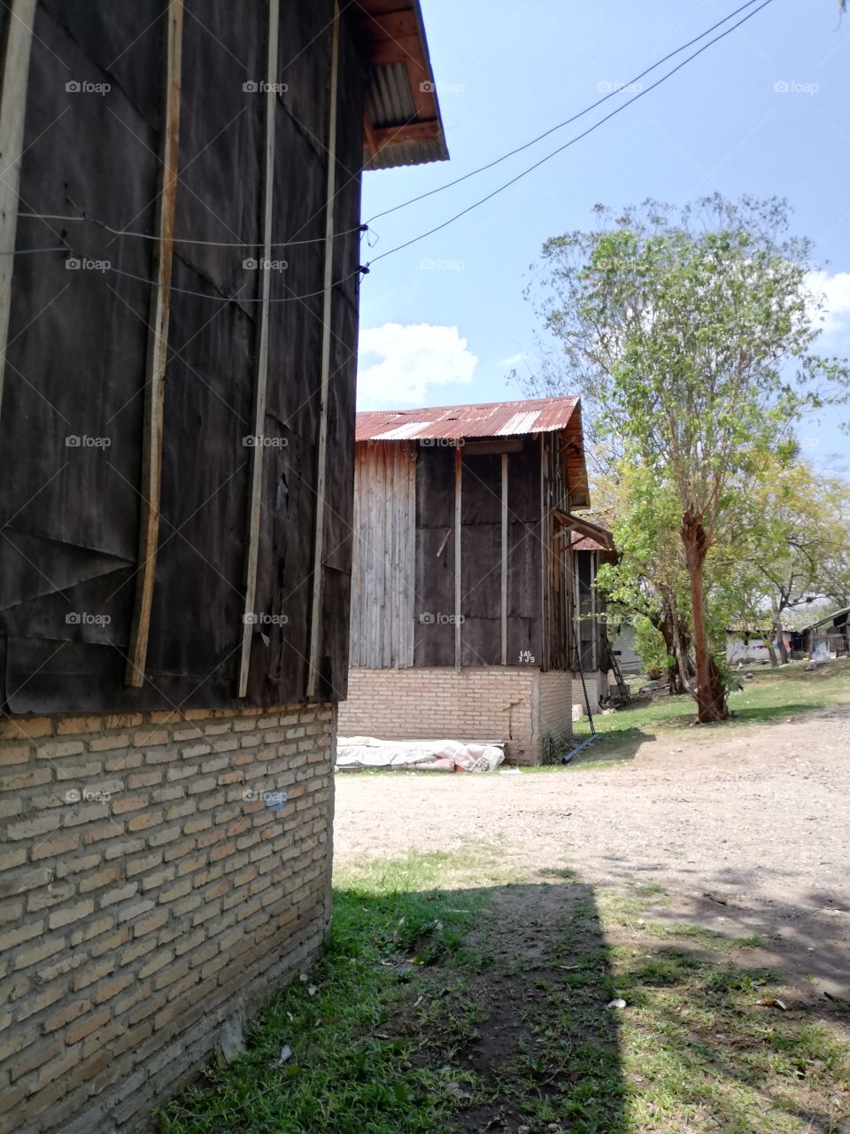 Tobacco barns for curing