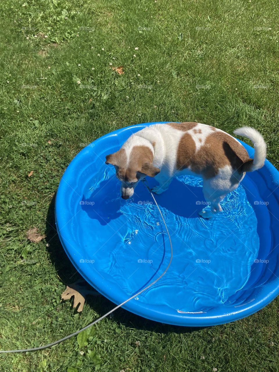 This isn’t too bad