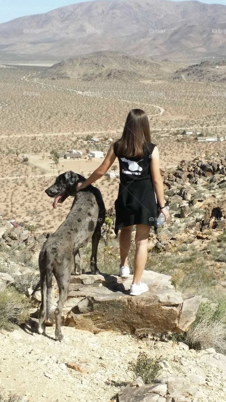 A walk in the hills with Moby