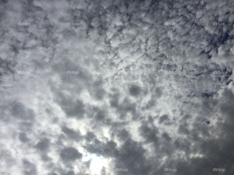 Sky
Day
Cloud