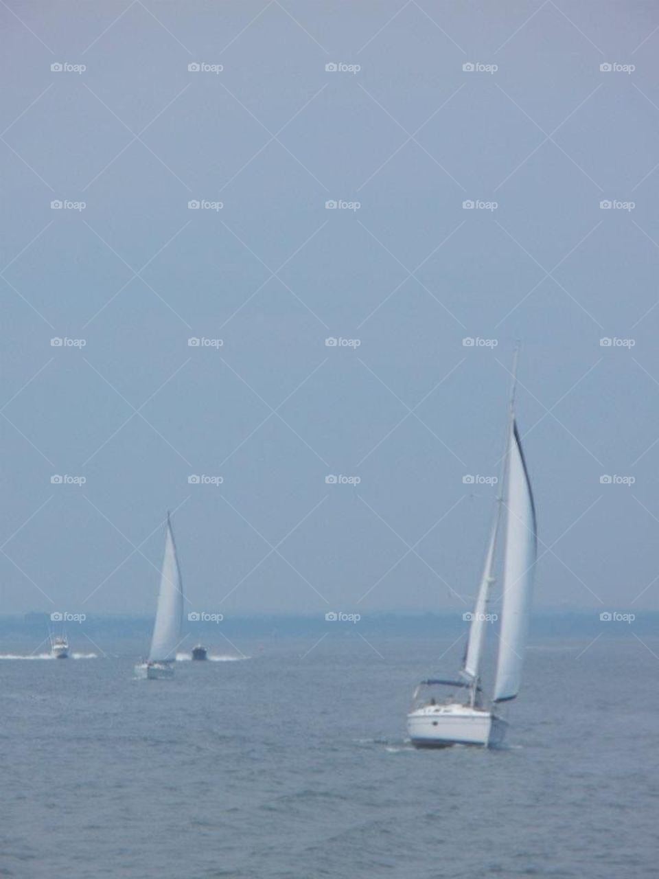 sail boats