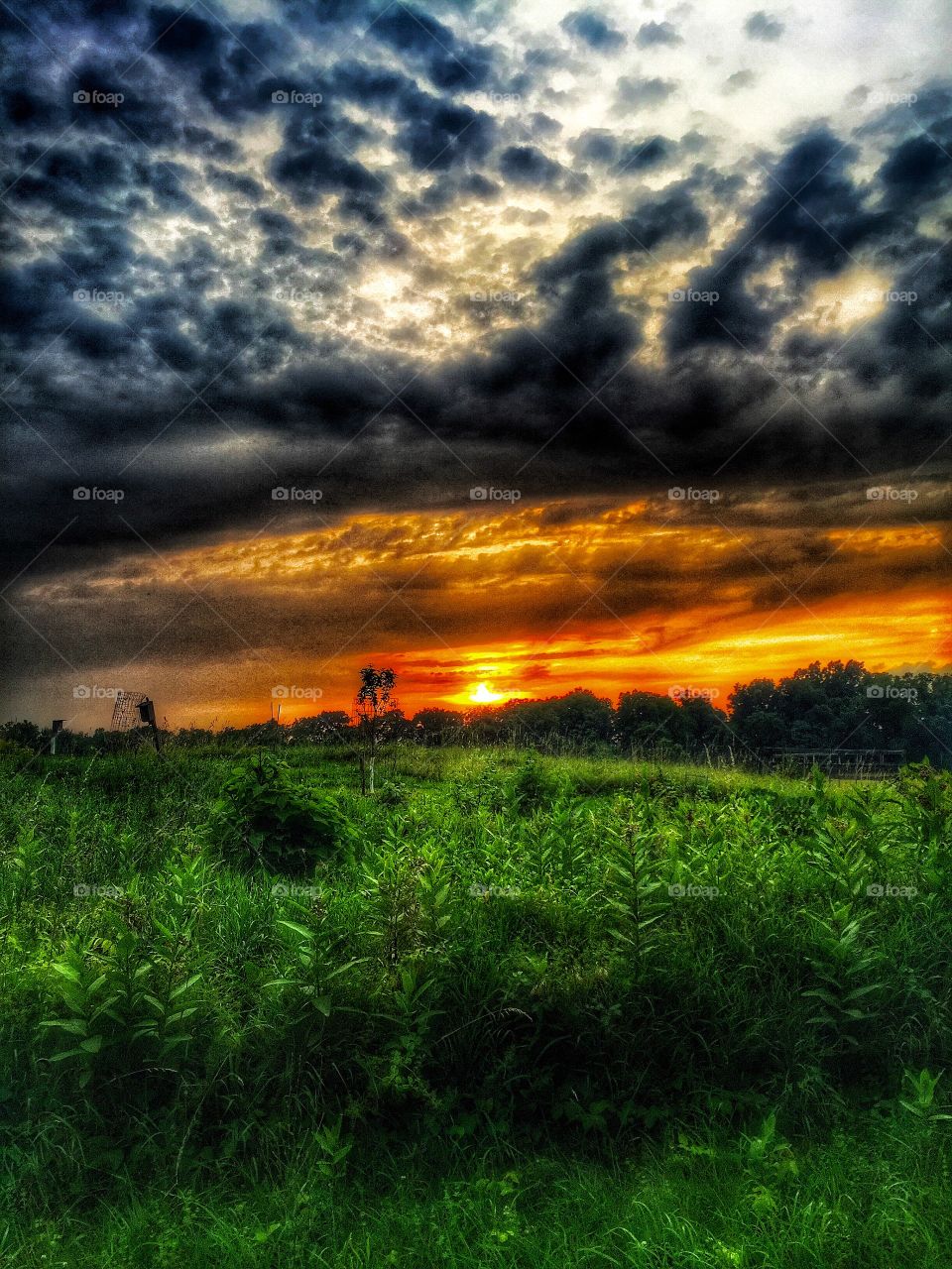 Sun over the rolling meadow. Sunset causes a dramatic effect on the meadow 