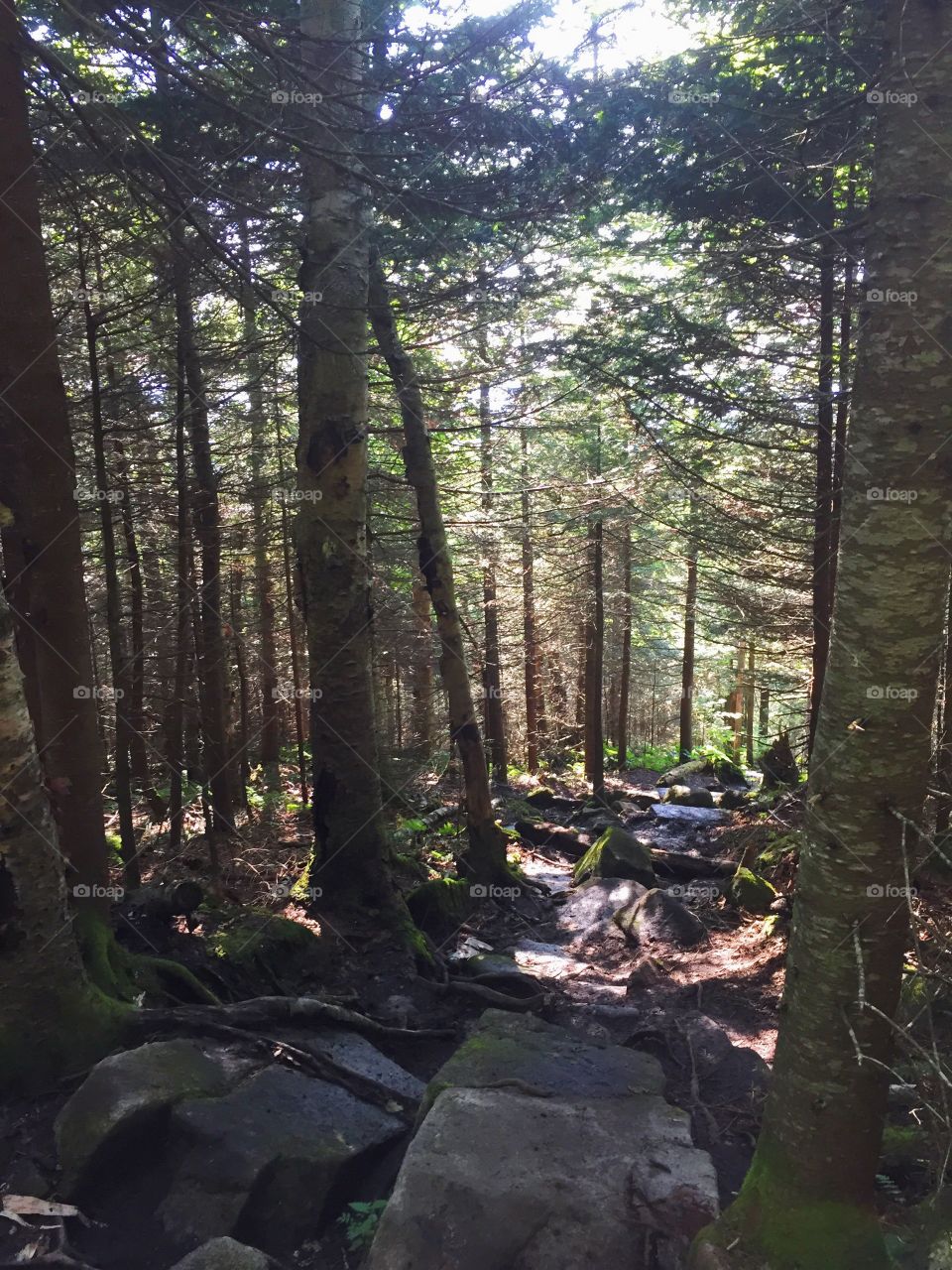 Rocky Slope. Taken in Lime, NH