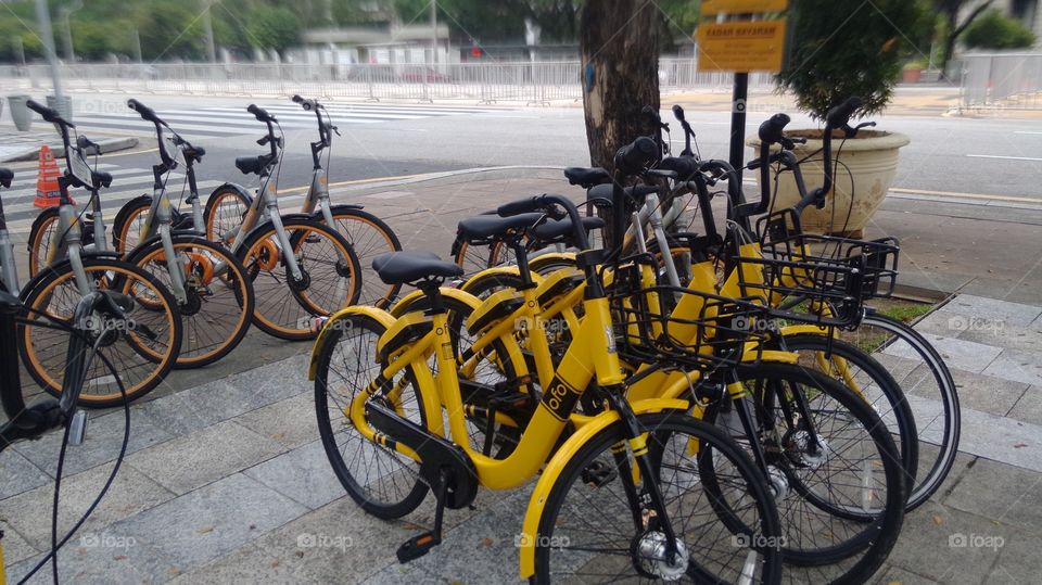 bycicle rental online