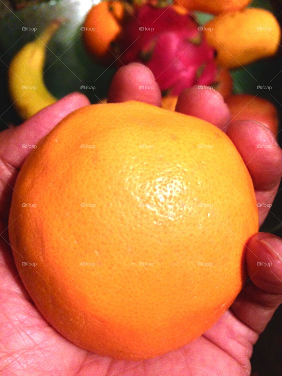 Holding Food In My Hand

Published by:
HappyBrownMonkey 