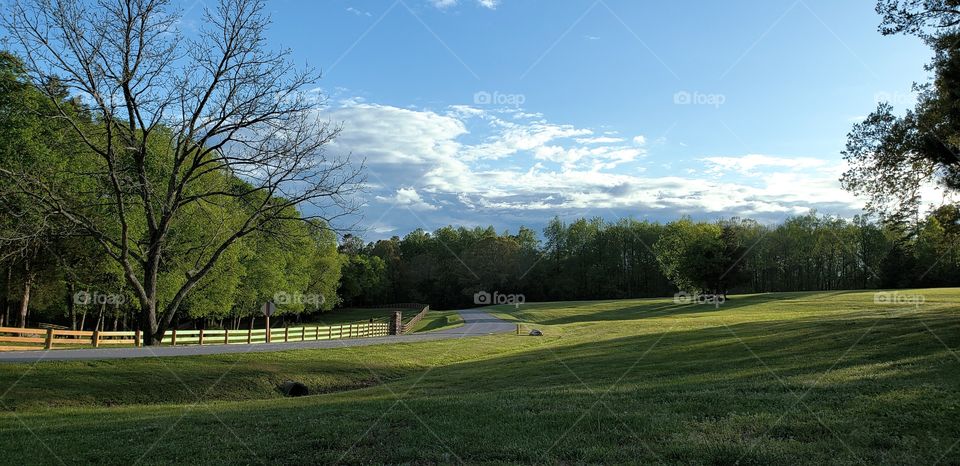 road in park beside the pasture