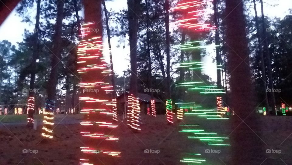 holiday lights