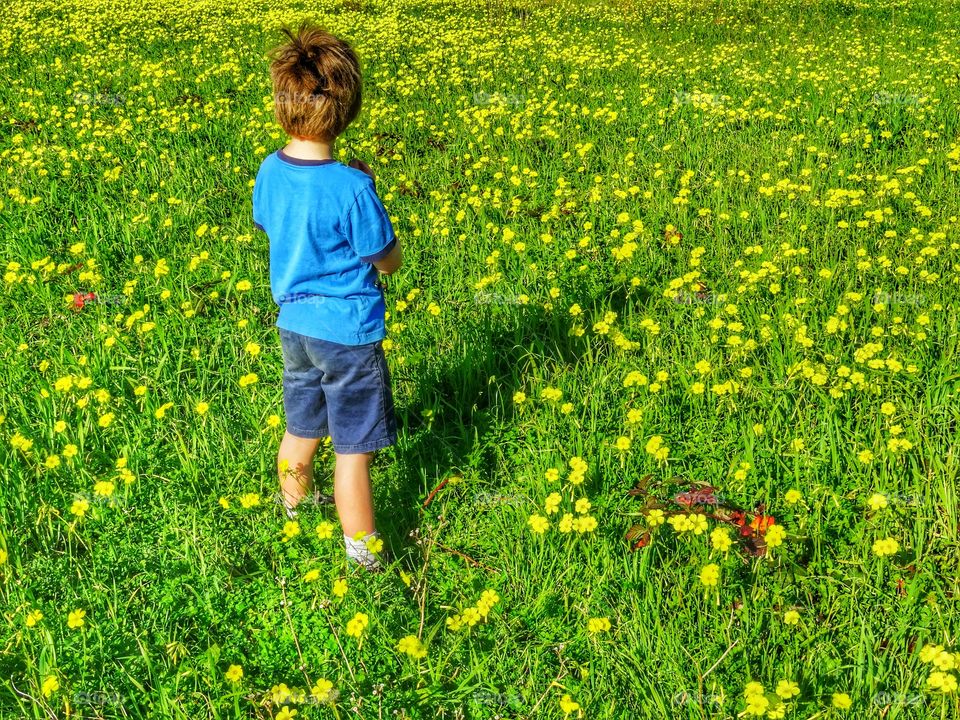 Boy In A Field Of Yellow Wildflowers